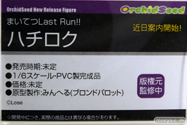 ワンダーフェスティバル2025 [冬]  フィギュア オーキッドシード まいてつLast Run!! ハチロク みんへる  11