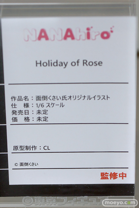 フィギュア 東京フィギュア夏祭り2025 エロ  NANAhiro 11