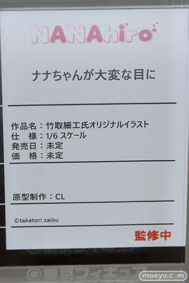 フィギュア 東京フィギュア夏祭り2025 エロ  NANAhiro 34