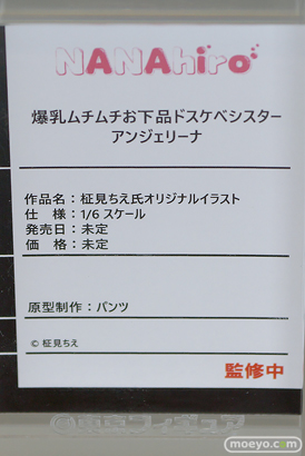 フィギュア 東京フィギュア夏祭り2025 エロ  NANAhiro 38