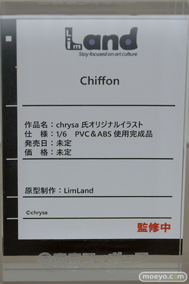 フィギュア 東京フィギュア夏祭り2025 エロ  Lim Land 14