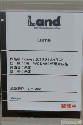 フィギュア 東京フィギュア夏祭り2025 エロ  Lim Land 20