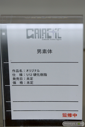 フィギュア 東京フィギュア夏祭り2025 エロ ネオンマックス ミメヨイ 26