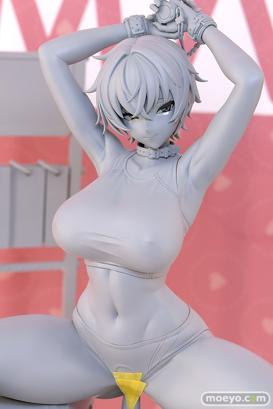 ワンダーフェスティバル2025 [夏]  フィギュア キャストオフ エロ あみあみホビーキャンプSP PINKMANGO Vivify 15