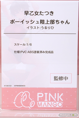 ワンダーフェスティバル2025 [夏]  フィギュア キャストオフ エロ あみあみホビーキャンプSP PINKMANGO Vivify 17