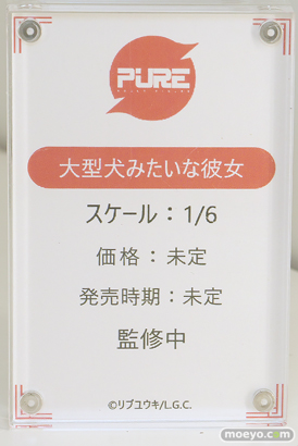ワンダーフェスティバル2025 [夏]  フィギュア キャストオフ エロ あみあみホビーキャンプSP PURE 対魔忍 06