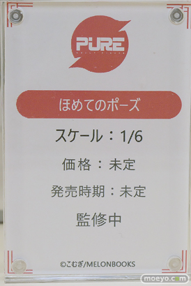 ワンダーフェスティバル2025 [夏]  フィギュア キャストオフ エロ あみあみホビーキャンプSP PURE 対魔忍 10