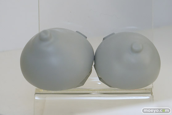 ワンダーフェスティバル2025 [夏]  フィギュア キャストオフ エロ あみあみホビーキャンプSP PURE 対魔忍 14