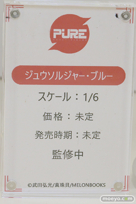 ワンダーフェスティバル2025 [夏]  フィギュア キャストオフ エロ あみあみホビーキャンプSP PURE 対魔忍 15