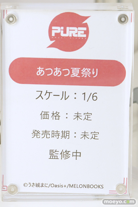 ワンダーフェスティバル2025 [夏]  フィギュア キャストオフ エロ あみあみホビーキャンプSP PURE 対魔忍 19