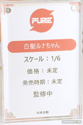 ワンダーフェスティバル2025 [夏]  フィギュア キャストオフ エロ あみあみホビーキャンプSP PURE 対魔忍 23