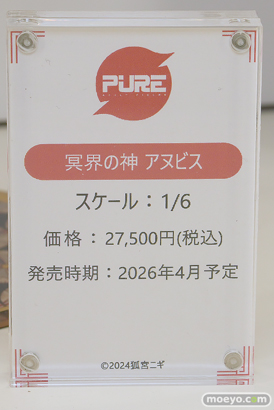 ワンダーフェスティバル2025 [夏]  フィギュア キャストオフ エロ あみあみホビーキャンプSP PURE 対魔忍 27