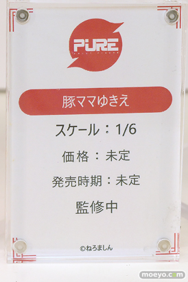 ワンダーフェスティバル2025 [夏]  フィギュア キャストオフ エロ あみあみホビーキャンプSP PURE 対魔忍 37