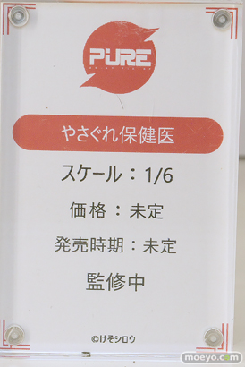 ワンダーフェスティバル2025 [夏]  フィギュア キャストオフ エロ あみあみホビーキャンプSP PURE 対魔忍 42