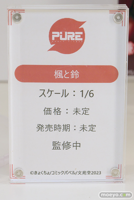 ワンダーフェスティバル2025 [夏]  フィギュア キャストオフ エロ あみあみホビーキャンプSP PURE 対魔忍 67