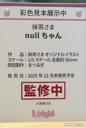 ワンダーフェスティバル2025 [夏]  フィギュア キャストオフ エロ インサイト コノシゲ 03