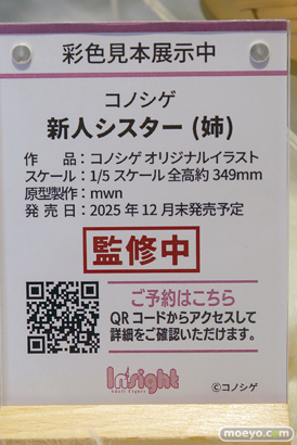 ワンダーフェスティバル2025 [夏]  フィギュア キャストオフ エロ インサイト コノシゲ 09