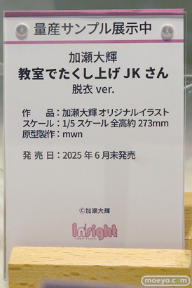ワンダーフェスティバル2025 [夏]  フィギュア キャストオフ エロ インサイト コノシゲ 12
