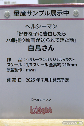 ワンダーフェスティバル2025 [夏]  フィギュア キャストオフ エロ インサイト コノシゲ 14