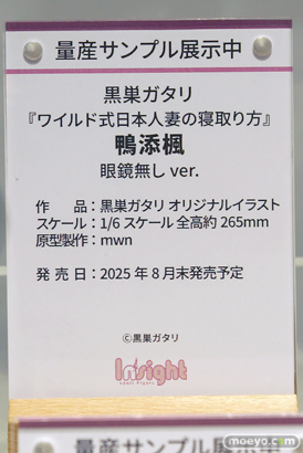 ワンダーフェスティバル2025 [夏]  フィギュア キャストオフ エロ インサイト コノシゲ 20