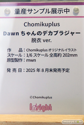 ワンダーフェスティバル2025 [夏]  フィギュア キャストオフ エロ インサイト コノシゲ 23