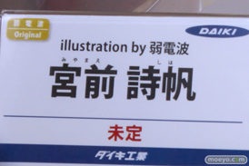 ワンダーフェスティバル2025 [夏]  フィギュア キャストオフ エロ ダイキ工業 14