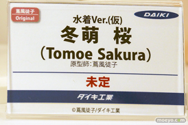 ワンダーフェスティバル2025 [夏]  フィギュア キャストオフ エロ ダイキ工業 28