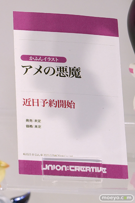 ワンダーフェスティバル2025 [夏]  フィギュア ユニオンクリエイティブ  To LOVEる-とらぶる-ダークネス アイドルマスター 38