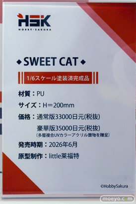 ワンダーフェスティバル2025 [夏]  フィギュア あみあみホビーキャンプ Hobby sakura ブラウンダスト2 07