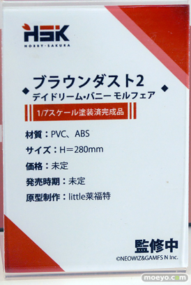 ワンダーフェスティバル2025 [夏]  フィギュア あみあみホビーキャンプ Hobby sakura ブラウンダスト2 11