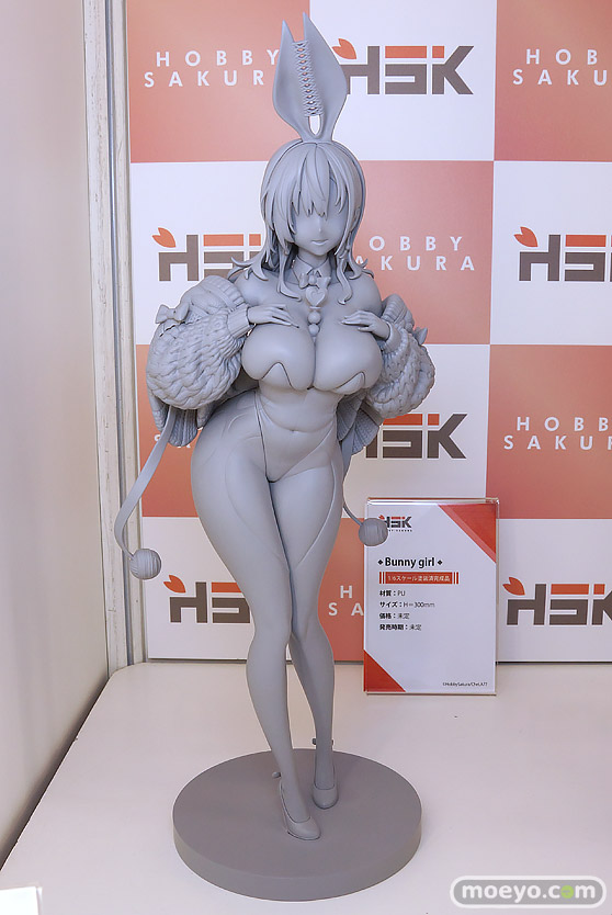 ワンダーフェスティバル2025 [夏]  フィギュア あみあみホビーキャンプ Hobby sakura ブラウンダスト2 27