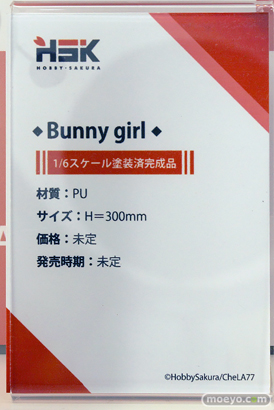 ワンダーフェスティバル2025 [夏]  フィギュア あみあみホビーキャンプ Hobby sakura ブラウンダスト2 31