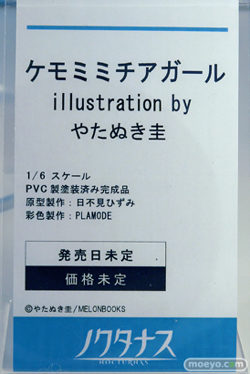 ワンダーフェスティバル2025 [夏]  フィギュア あみあみホビーキャンプ ノクタナス わんだらー 04