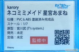 ワンダーフェスティバル2025 [夏]  フィギュア あみあみホビーキャンプ ノクタナス わんだらー 21