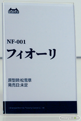 ワンダーフェスティバル2025 [夏]  フィギュア あみあみホビーキャンプ HASUKI GNFTOYZ AniGame 08