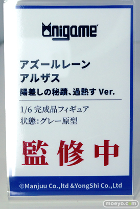 ワンダーフェスティバル2025 [夏]  フィギュア あみあみホビーキャンプ HASUKI GNFTOYZ AniGame 27