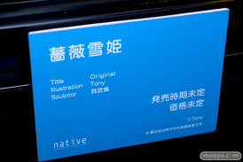 第11回 ネイティブグループ合同展示会（エロホビ） エロ フィギュア キャストオフ ネイティブ マジックバレット デジタルコマース FROG Pink・Cat 11