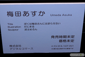 第11回 ネイティブグループ合同展示会（エロホビ） エロ フィギュア キャストオフ ネイティブ マジックバレット デジタルコマース FROG Pink・Cat 23