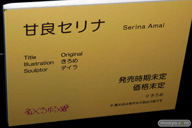 第11回 ネイティブグループ合同展示会（エロホビ） エロ フィギュア キャストオフ のくちゅるぬ 13
