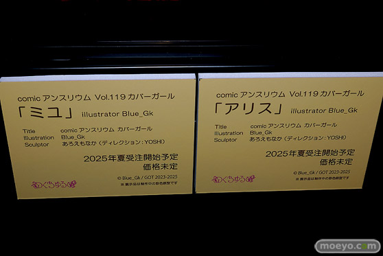 第11回 ネイティブグループ合同展示会（エロホビ） エロ フィギュア キャストオフ のくちゅるぬ 19