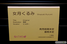 第11回 ネイティブグループ合同展示会（エロホビ） エロ フィギュア キャストオフ のくちゅるぬ 34