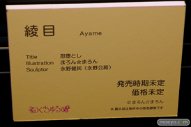 第11回 ネイティブグループ合同展示会（エロホビ） エロ フィギュア キャストオフ のくちゅるぬ 38