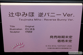 第11回 ネイティブグループ合同展示会（エロホビ） エロ フィギュア キャストオフ ロケットボーイ 35