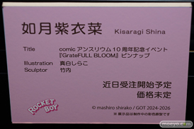 第11回 ネイティブグループ合同展示会（エロホビ） エロ フィギュア キャストオフ ロケットボーイ 40