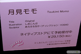 第11回 ネイティブグループ合同展示会（エロホビ） エロ フィギュア キャストオフ ロケットボーイ 47