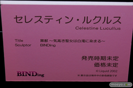第11回 ネイティブグループ合同展示会（エロホビ） エロ フィギュア キャストオフ BINDing ながちち永井さん 06