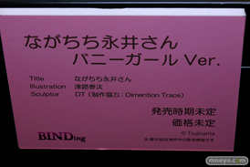第11回 ネイティブグループ合同展示会（エロホビ） エロ フィギュア キャストオフ BINDing ながちち永井さん 16