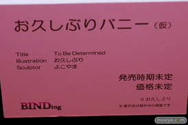 第11回 ネイティブグループ合同展示会（エロホビ） エロ フィギュア キャストオフ BINDing ながちち永井さん 27