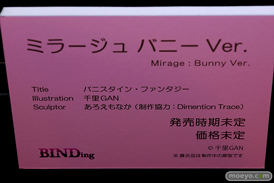 第11回 ネイティブグループ合同展示会（エロホビ） エロ フィギュア キャストオフ BINDing 黒見沢香織 うるりひ  05