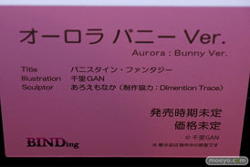 第11回 ネイティブグループ合同展示会（エロホビ） エロ フィギュア キャストオフ BINDing 黒見沢香織 うるりひ  11
